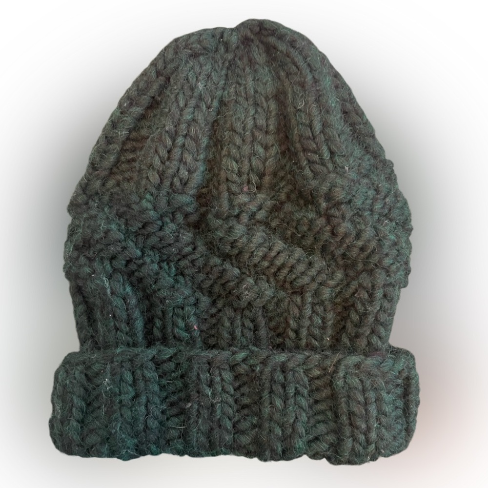 Eugenia Kim chunky knit wool beanie